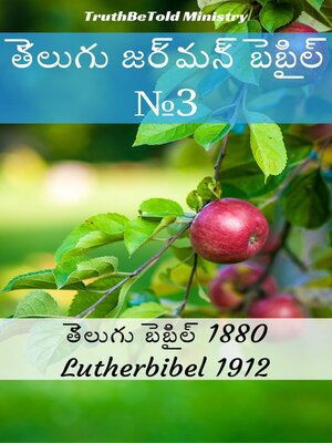 cover image of తలుగు జరమన బబల No3